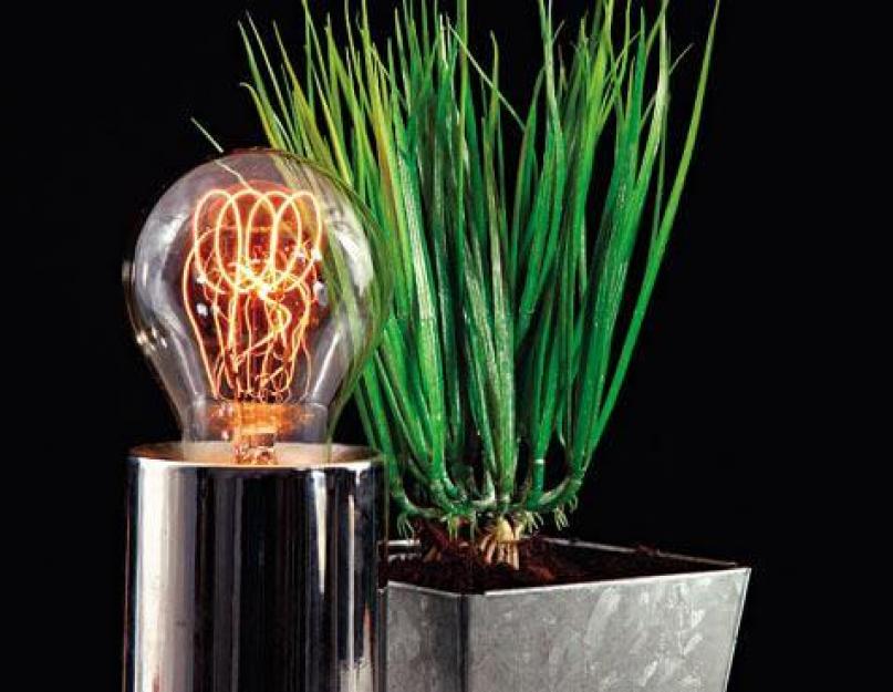 Какую лучше выбрать лампу для выращивания растений. Натриевые лампы высокого давления