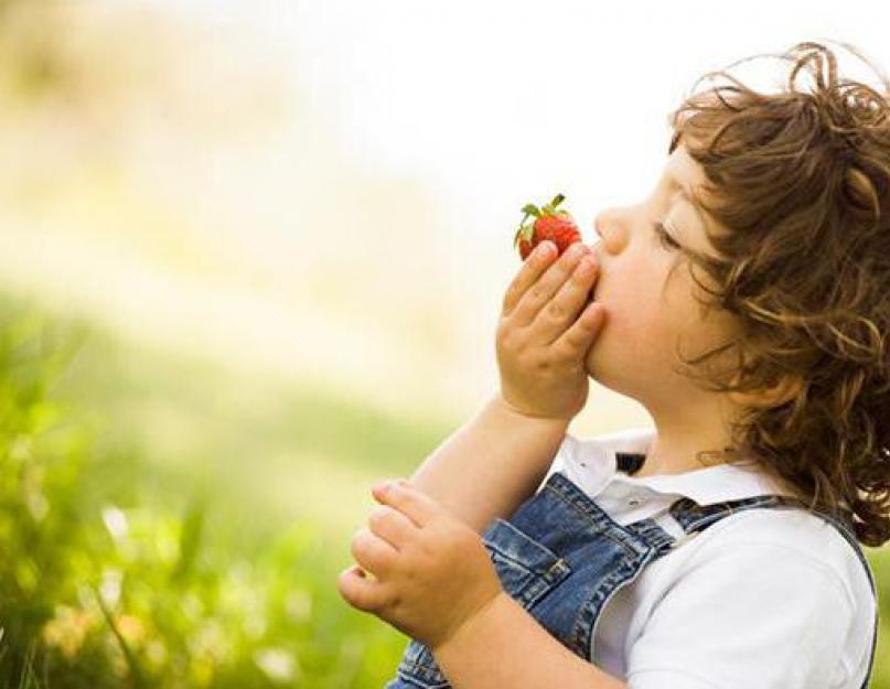 Загадки про ягоды для детей 3 4. Самые вкусные загадки про ягоды для малышей