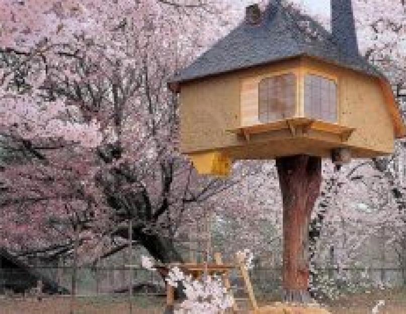 Самые красивые домики на дереве. Домик на дереве: планируем и строим