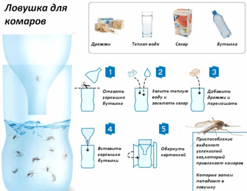 Простая ловушка для комаров из пластиковой бутылки. Можно изготовить из подручных средств