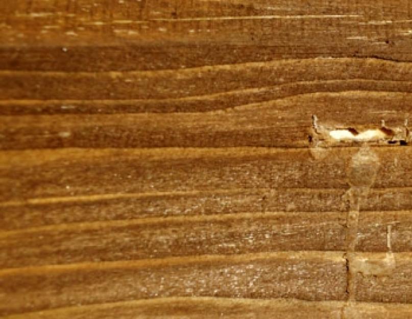 Обессмоливание древесины хвойных пород. Обработка деревянных поверхностей: обессмоливание