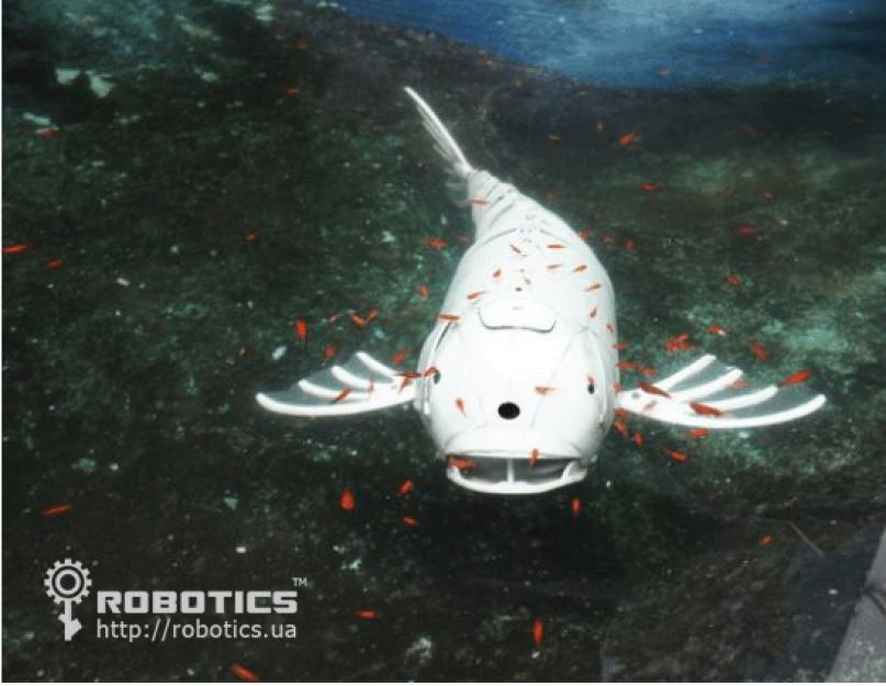   DIY: Реалистичная робот-рыба из пвх трубы под Arduino. Пошаговая инструкция по созданию