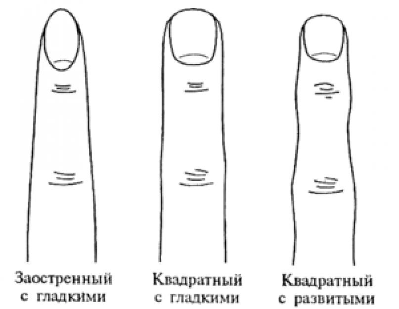 Определение характера по пальцам рук. Определение судьбы и характера по форме руки - хиромантия