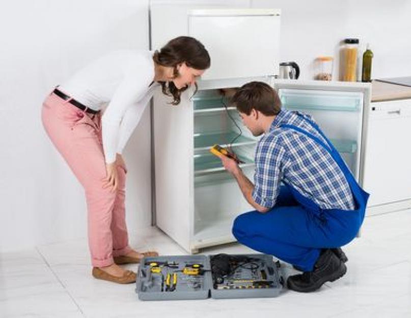 Неприятный запах из холодильника причина как устранить. Запах в холодильнике: причины и способы устранения