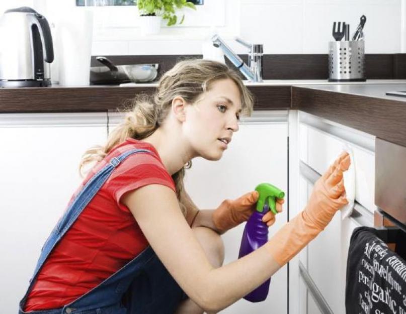 Как отмыть кухню от жира на шкафах. Чем отмыть жир с кухонной мебели? Материалы для чистки