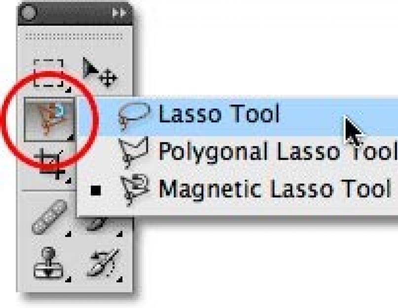 Инструмент Магнитное Лассо в Photoshop cs5. Как пользоваться инструментом лассо в фотошопе