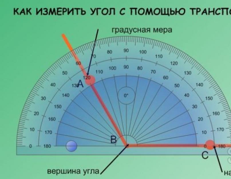 Угол можно определять в. Как измерять градусы транспортиром у угла. Как определить градус угла. Градусы углов. Углы транспортир.