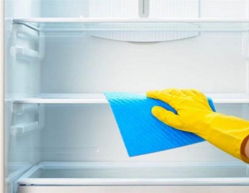 Как вывести запах из холодильника народными средствами. Как убрать запах из холодильника народными средствами? Водка и эфирное масло эвкалипта