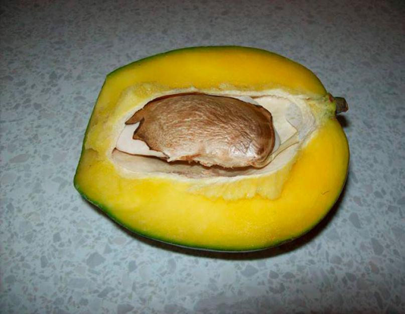 Манго выращивание в домашних. Как вырастить манго из косточки, чтобы были плоды