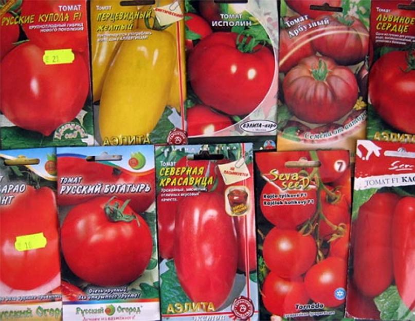 Как вырастить помидоры на балконе или подоконнике. Как вырастить помидоры на подоконнике в домашних условиях