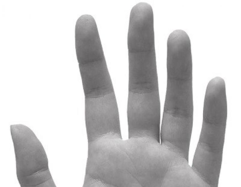 Маленькие кисти рук у мужчин что значит. Длина пальцев рук: значение в психологии