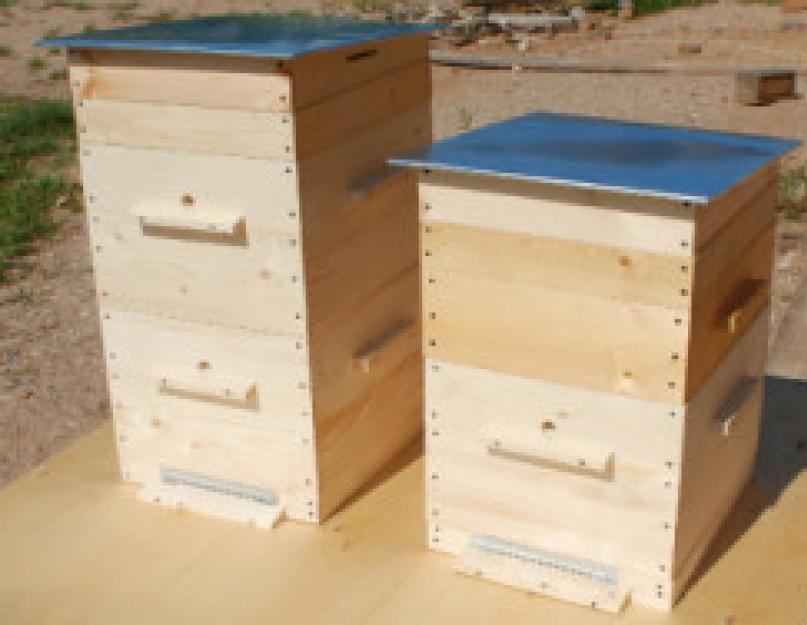 Из чего сделать улей. Современные ульи для пчел – как построить и где разместить