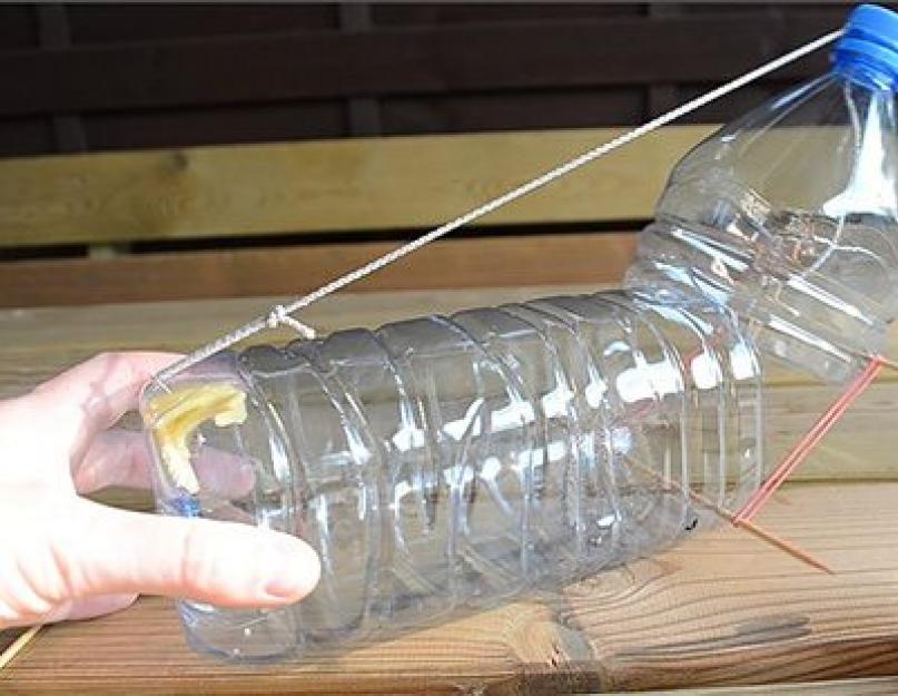 Гуманная мышеловка из бутылки. Как сделать самодельную мышеловку — ловим грызунов простыми способами