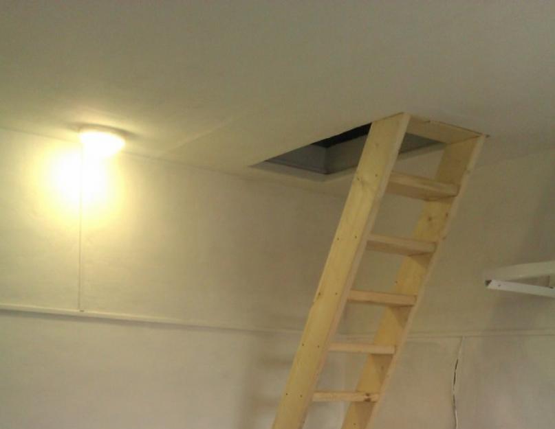 Лестница дверь в подвал. Как сделать лестницу в подвал – простые технологии строительства