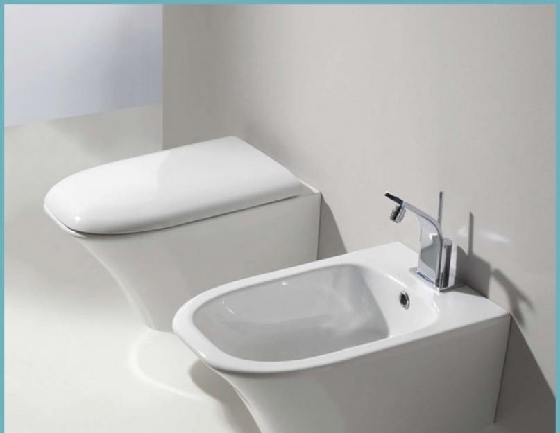 Нужен ли гигиенический душ в совмещенном санузле. Гигиенический душ в туалете: виды и фото