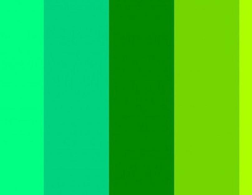 Какой цвет между синим и зеленым. Сочетание синего и зелёного цвета в одежде