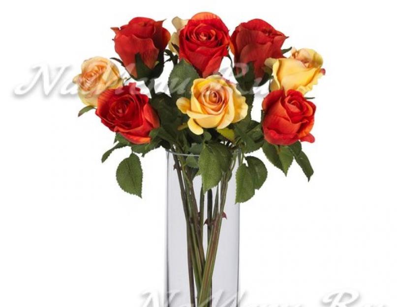  Что делать, чтобы розы дольше стояли: как сохранить розы в вазе. 