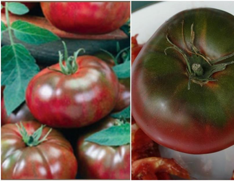 Лучшие черные сорта томатов — характеристика, описание, фото, отзывы. Сорта черных помидор, посадка и уход