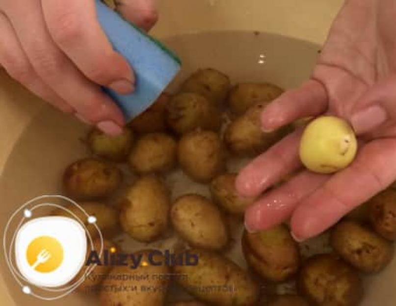 Сколько варить сырую картошку в воде. Тушеная картошка в кастрюле