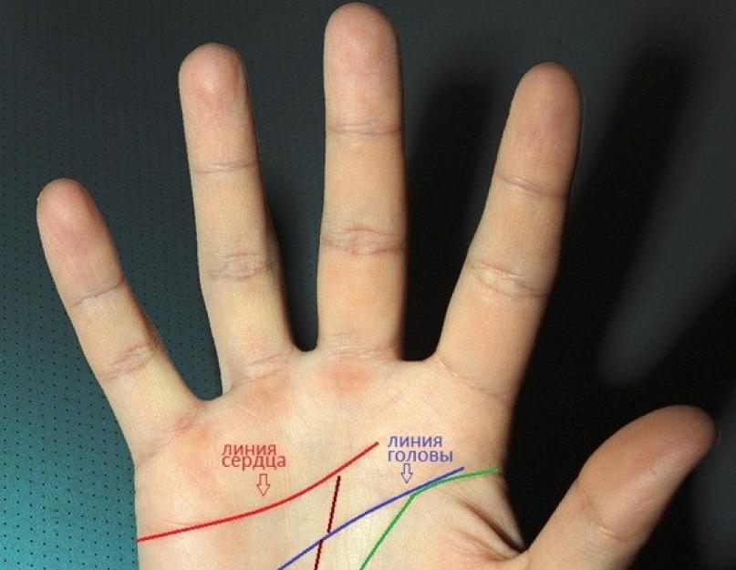 Характер человека по расположению рук. Длина пальцев рук: значение в психологии
