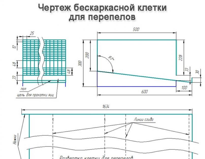 Можно ли прикопать саженцы. Дачные советы: 