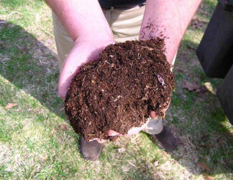 Как правильно делать компост из травы. Компостная куча