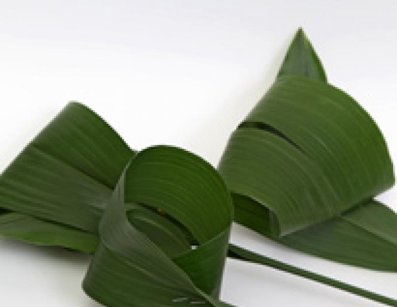Как делать листья из ленты аспидистры. Как ухаживать за аспидистрой, полив, размножение и лечение «железной леди
