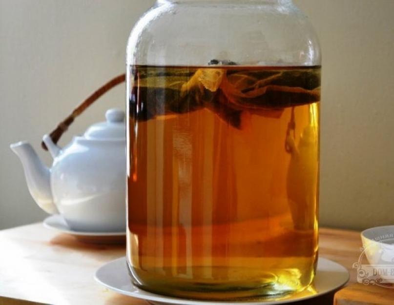 Как приготовить напиток из чайного гриба. Чайный гриб – как вырастить с нуля