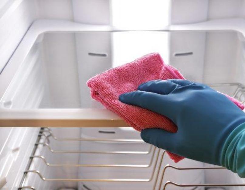 Чем помыть холодильник внутри чтобы. Как вымыть холодильник и избавиться от запаха: профессиональные и народные средства