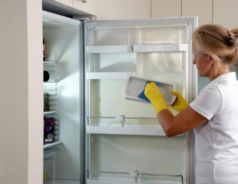 Как быстро помыть холодильник от запаха. Как отмыть холодильник внутри от пятен и запаха? Порядок мытья холодильника