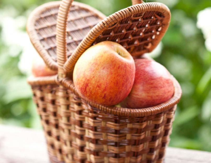 Уборка яблок, уборка груш, хранение яблок. Когда снимать урожай яблок