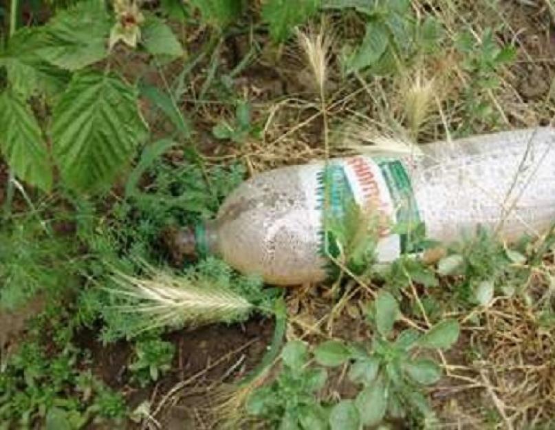 Применение использованных пластиковых бутылок. Применение пластиковых бутылок для полива в огороде