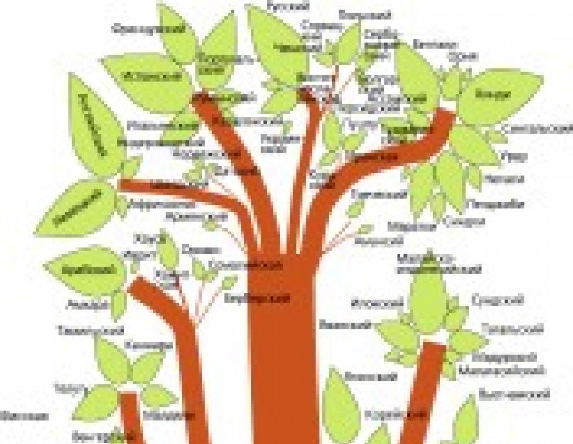 Индоевропейские ветви. Индоевропейская языковая семья Древо. Индоевропейская семья Древо. Индоевропейская семья языков дерево. Схема индоевропейская языковая семья схема.