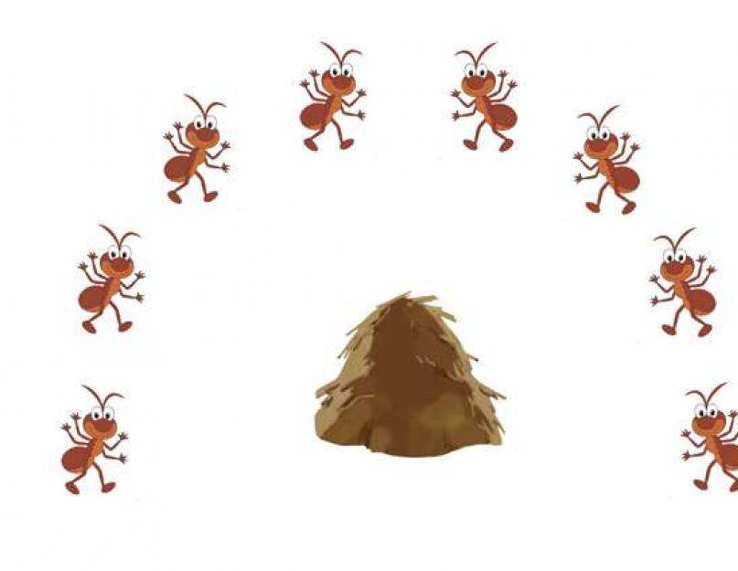 Что означает когда снится муравьи. К чему снятся муравьи во сне женщине? Сонник муравьи