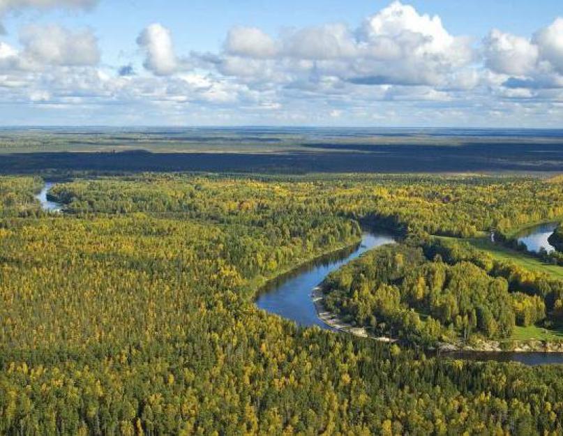 Большие реки западно сибирской равнины. Западно Сибирская равнина. Западно-Сибирская равнина фото. Западно-Сибирская равнина реки и озера. Сибирская низменность фото.