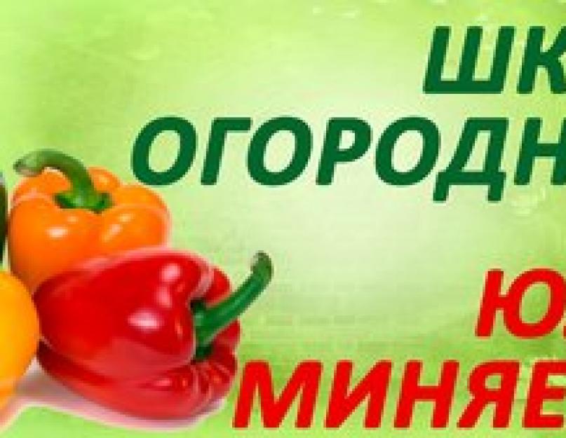 Юлия миняева кулинарные рецепты. Юлия миняева и ее страницы в социальных сетях