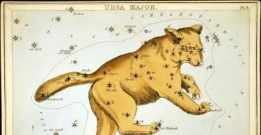Созвездие Большой Медведицы и Малой Медведицы на небе: список звезд, как найти, легенды и описание