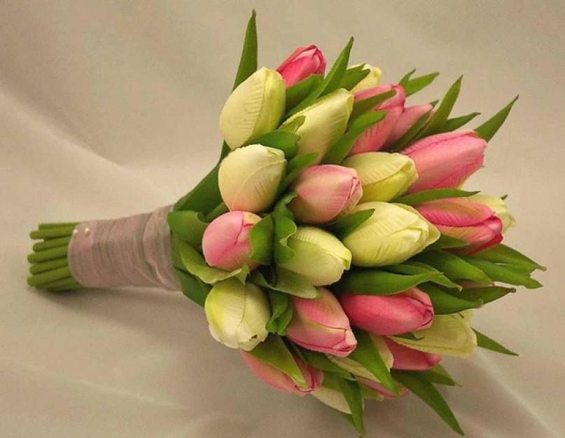 Шикарные тюльпаны. Тюльпаны: описание цветов и их выращивание