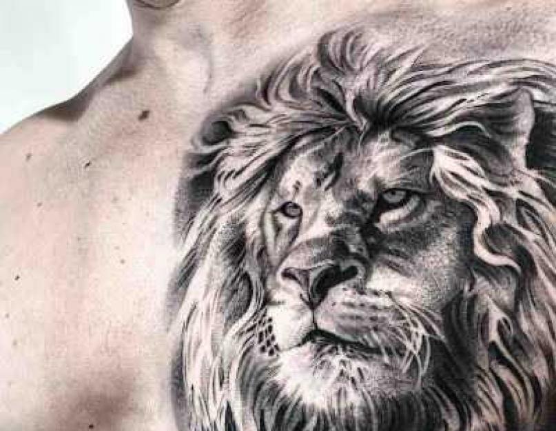 Лучшие татуировки льва. Значение, которым обладает тату лев