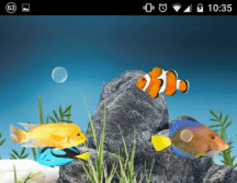 Скачать живые обои аквариум на планшет андроид. Живые обои рыбки