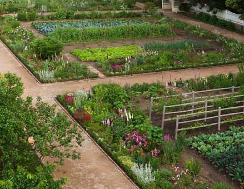 Дизайн идеи своими руками дача огород. Изумительные поделки для сада и огорода своими руками