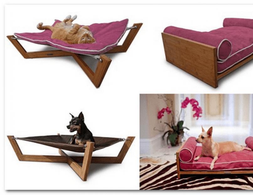 Элитная мебель для собак. Мебель для домашних животных как бизнес