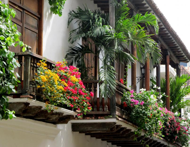 Оформление балкона цветами: все тонкости оранжереи дома. Украшение балкона цветами: идеи и полезные советы