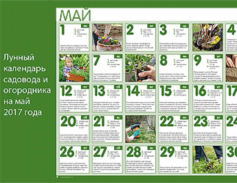 Календарь огородника на апрель 24 года