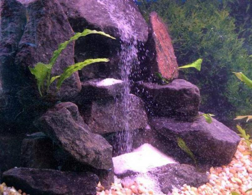 Аквариум для рыбок с фонтаном. Как сделать водопад в аквариуме своими руками? Варианты элементов декора