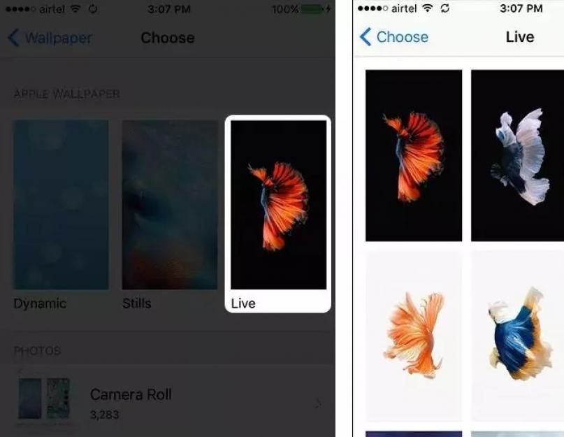 Live обои iphone 7. Как поменять обои на iPhone