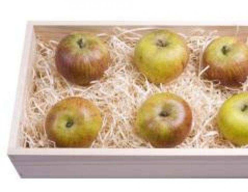 Урожай яблок. Как хранить яблоки зимой