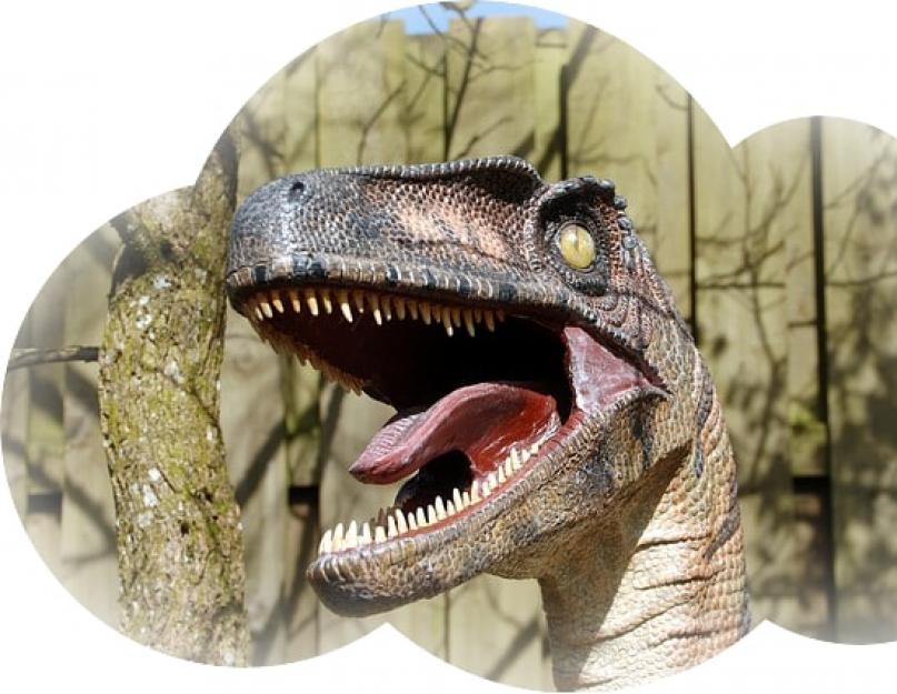 Почему приснился динозавр — нюансы расшифровки по сонникам. К чему снится динозавр женщине