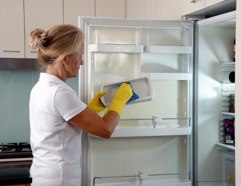 Как избавиться от запаха в новом холодильнике. Как приготовить специальное средство от неприятных запахов? Самый пахучий – нашатырный спирт