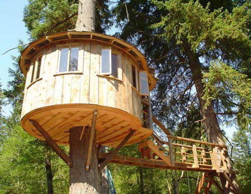 Самый необычный домик на дереве для детей. Что представляет собой дом на дереве? Подготовка материалов и инструментов